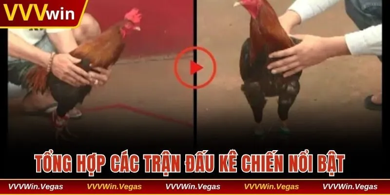 Tổng hợp các trận đấu kê chiến nổi bật đã diễn ra tại sảnh